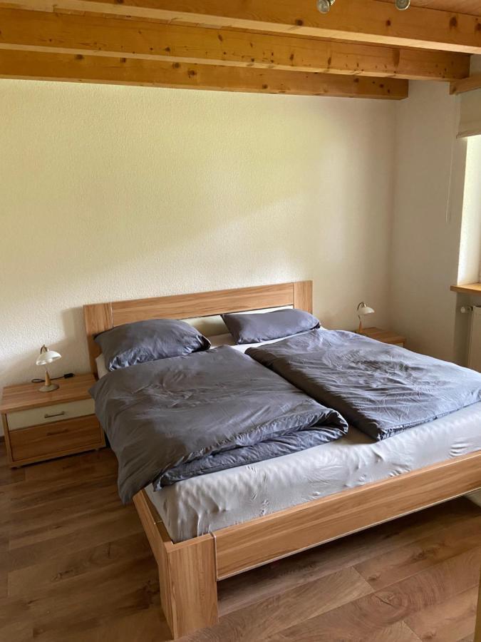 Ferienwohnung Im Herzen Graubuendens Surava Екстер'єр фото